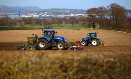 Türkiye’de tarım destekleri ve devlet hibeleri