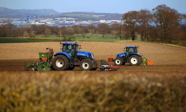 Türkiye’de tarım destekleri ve devlet hibeleri