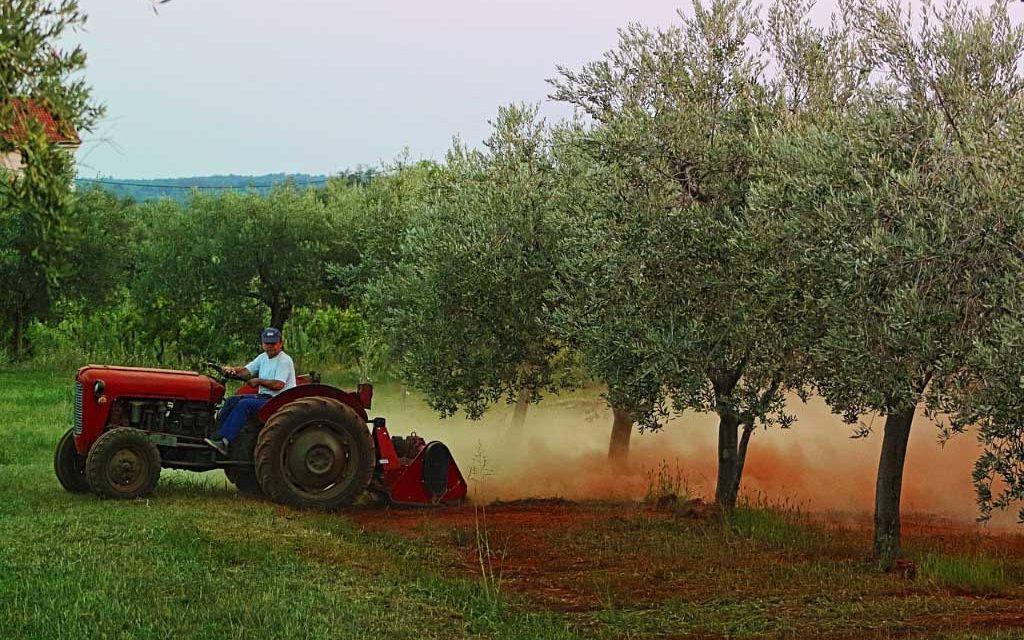 Akıllı tarım teknolojileri