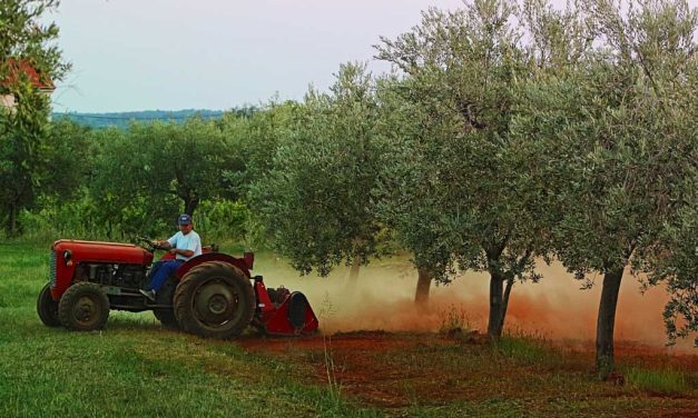 Akıllı tarım teknolojileri