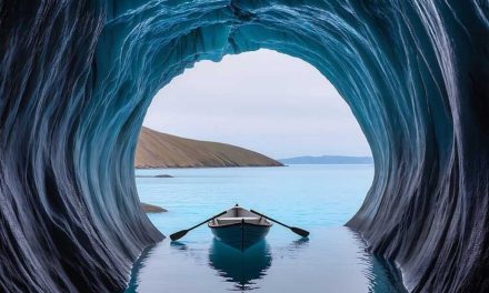 Şahoğlu Nakliyat > Ekspertiz ve Ücretsiz Taşıma Planlaması