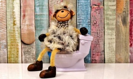 Güney Tesisat > Tuvalet Tıkanıklığı Açma