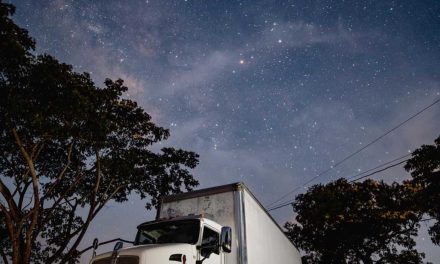 Egetrans Uluslararası Ev Taşıma