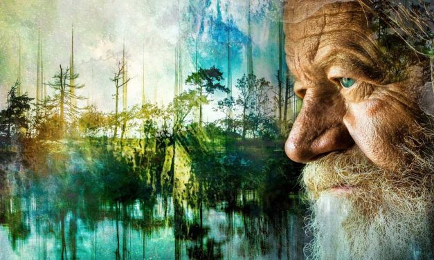 İnvitro Care > Yaşlı Bakımı