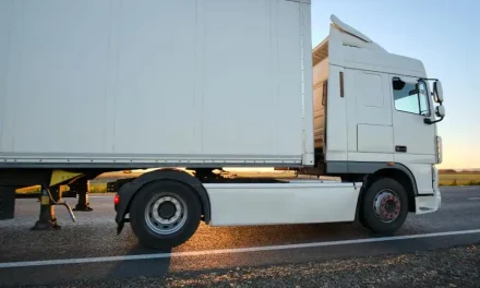 Yerel Hizmet > Avcılar Evden Eve Nakliyat