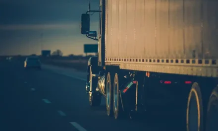 Yerel Hizmet > Büyükçekmece Evden Eve Nakliyat