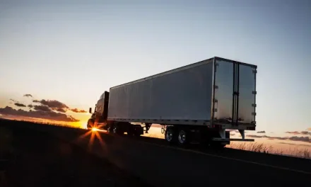 Yerel Hizmet > Fatih Evden Eve Nakliyat