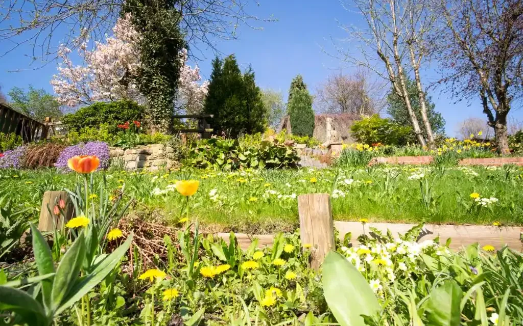 Maşuk Garden > Çekim Platosu Nedir?