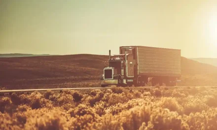 Yerel Hizmet > Pendik Evden Eve Nakliyat