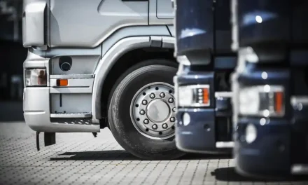 Rotarex > Evden Eve Nakliyatın Zorlukları