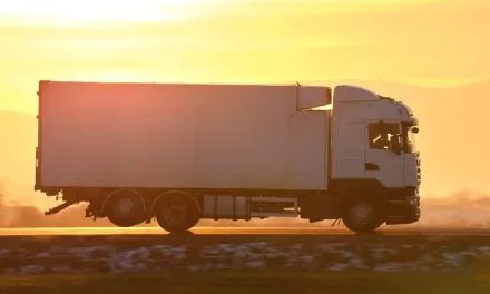 Yerel Hizmet > Silivri Evden Eve Nakliyat