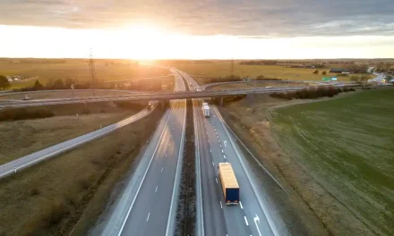 Yerel Hizmet > Zeytinburnu Evden Eve Nakliyat