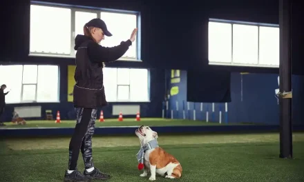 Köpeklerde İletişim Dili ve Eğitim