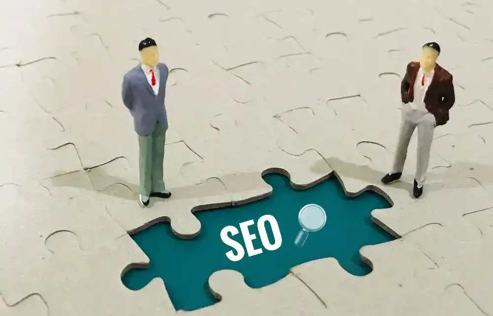 EDU Backlink Paketleri