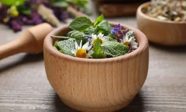 Herbalife ile Sağlıklı Yaşam Tarzı Oluşturma