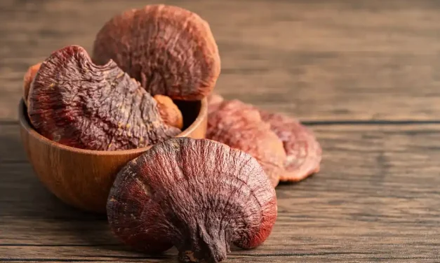 Reishi Mantarı ile Zihin Yorgunluğunu Giderin