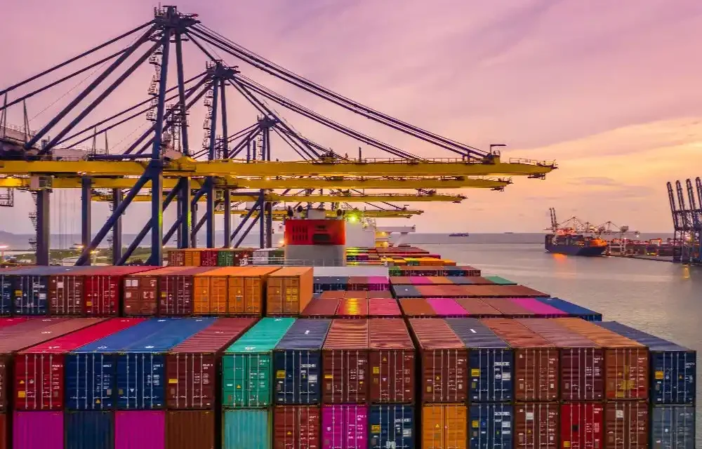 Dış Ticarette E-Ticaret Fırsatları