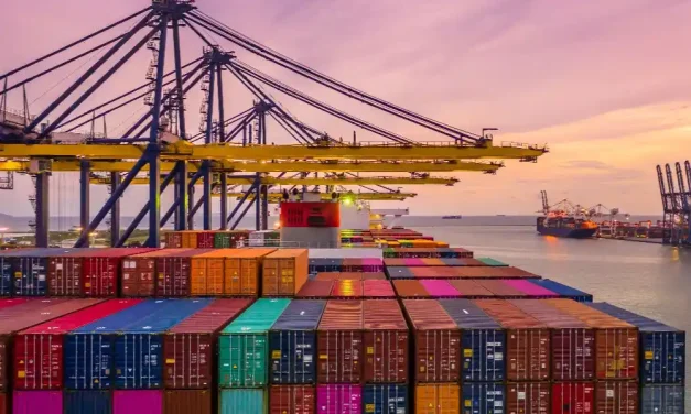Dış Ticarette E-Ticaret Fırsatları