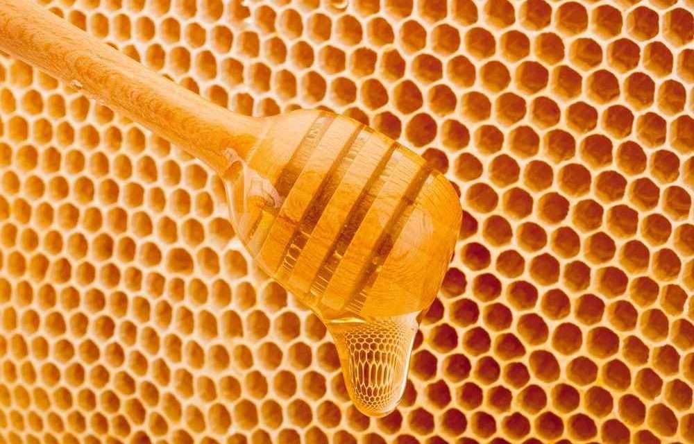 Monoflora Ballar ile Sağlık İçin Doğal Çözümler